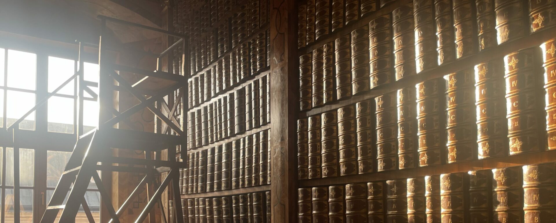 Biblia Lubelska